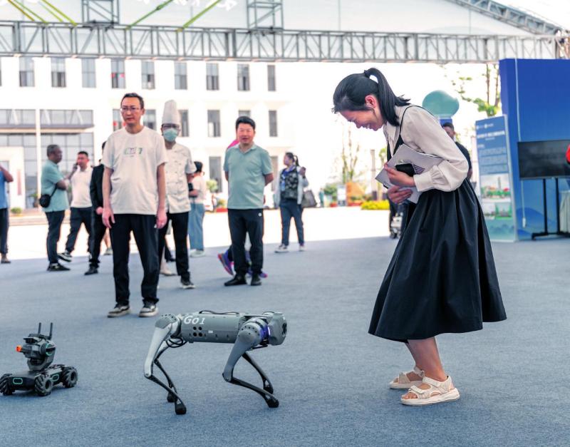 1689750515966755.jpg 瞭望.jpg