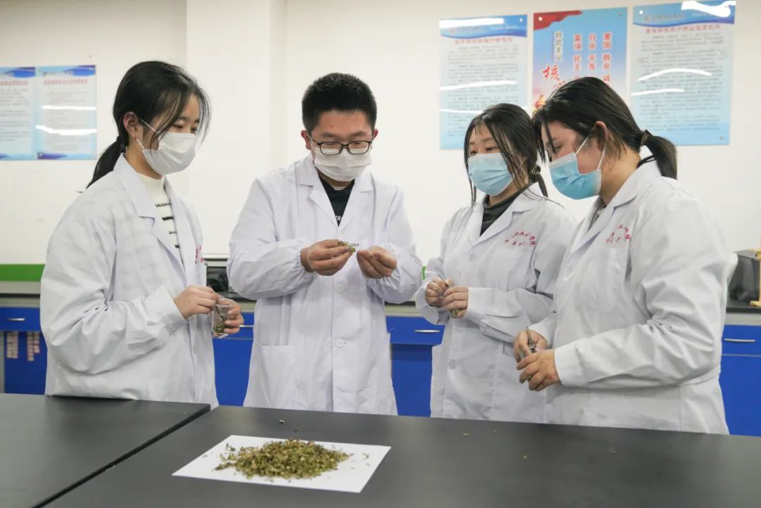 宝鸡职业技术学院4.jpg
