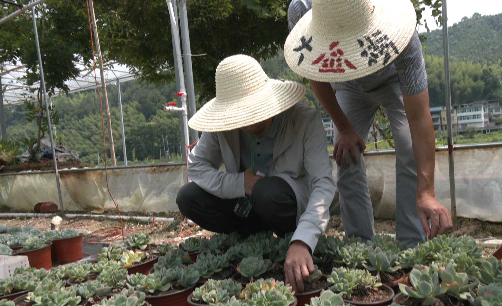 “海归英才八闽行”走进宁化助力乡村振兴3.jpg