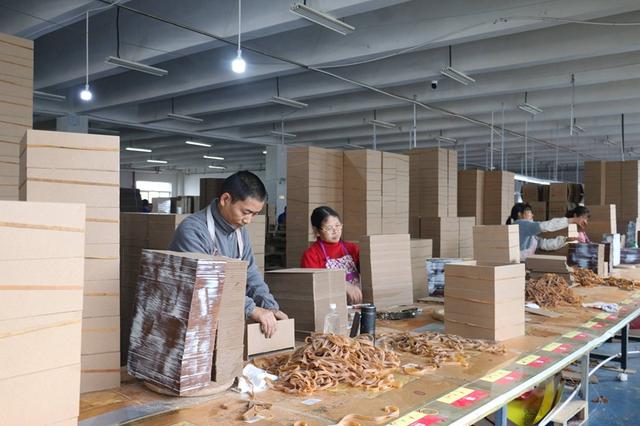 绥阳：出政策 建平台 助力残疾群众稳岗就业3.jpeg