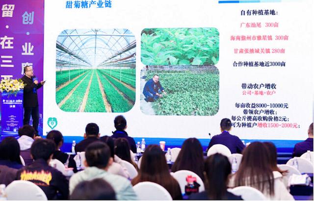 “留在三亚 创业鹿城”暨三亚市留学归国人才创新创业大赛总决赛收官.jpeg