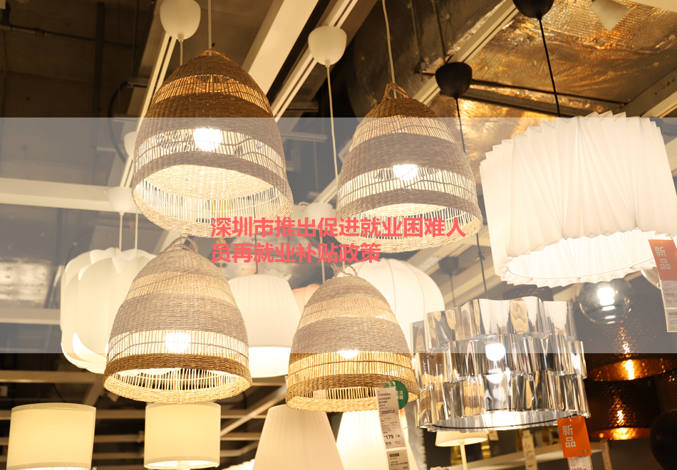 1704250407726995.png 深圳市推出促进就业困难人员再就业补贴政策.png