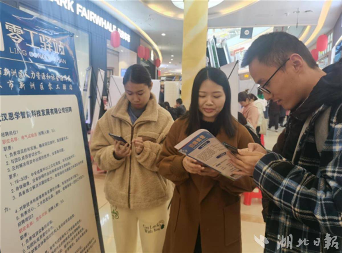 从敲门行动到春风行动 新洲区为春季大学生招聘市场送暖风.jpg