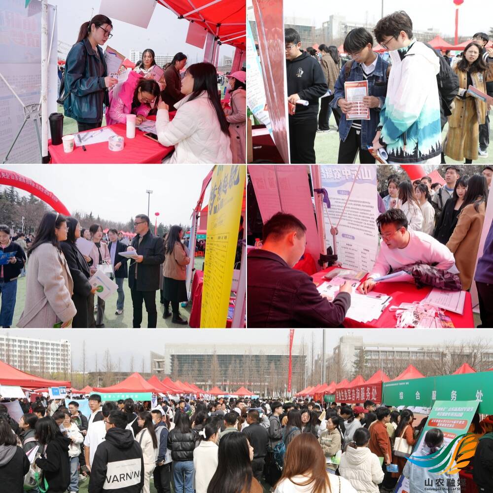 山东农业大学举办“职通央企”山东省高校毕业生央企就业专项活动5.jpeg