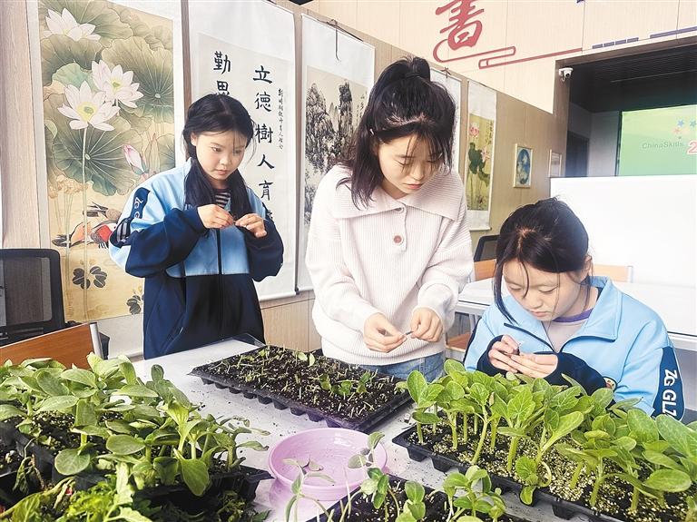 职教为乡村振兴注入“新质生产力”.jpg
